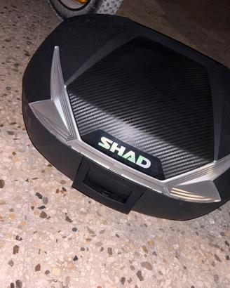 Shad bauletto
