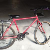 Bicicletta 26" con portapacchi dietro