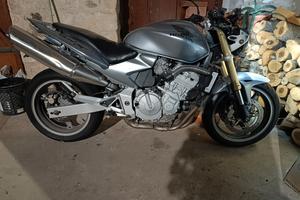 Hornet 600