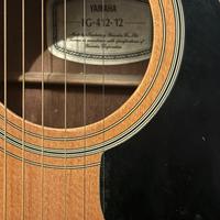Chitarra acustica amplificata