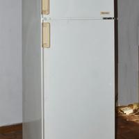 FRIGORIFERO  CON CONGELATORE
