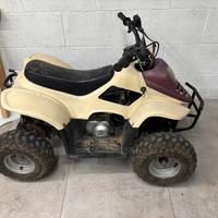 Quad 110ATV