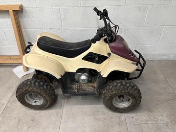 Quad 110ATV