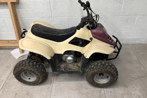 Quad 110ATV