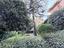 Immagine 20