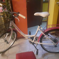 Bicicletta
