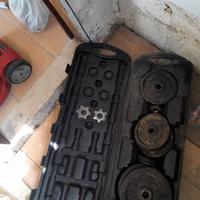 Pesi manubri bilanceri