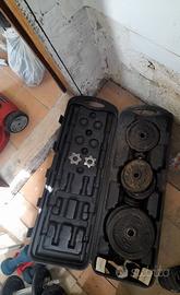 Pesi manubri bilanceri