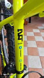 Mtb bambino