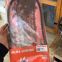 cinghia special belt piaggio