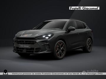 Cupra Terramar .0 tsi business 4drive 204cv dsg