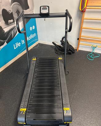 Tapirulan evilseed magnetico