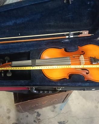 violino 