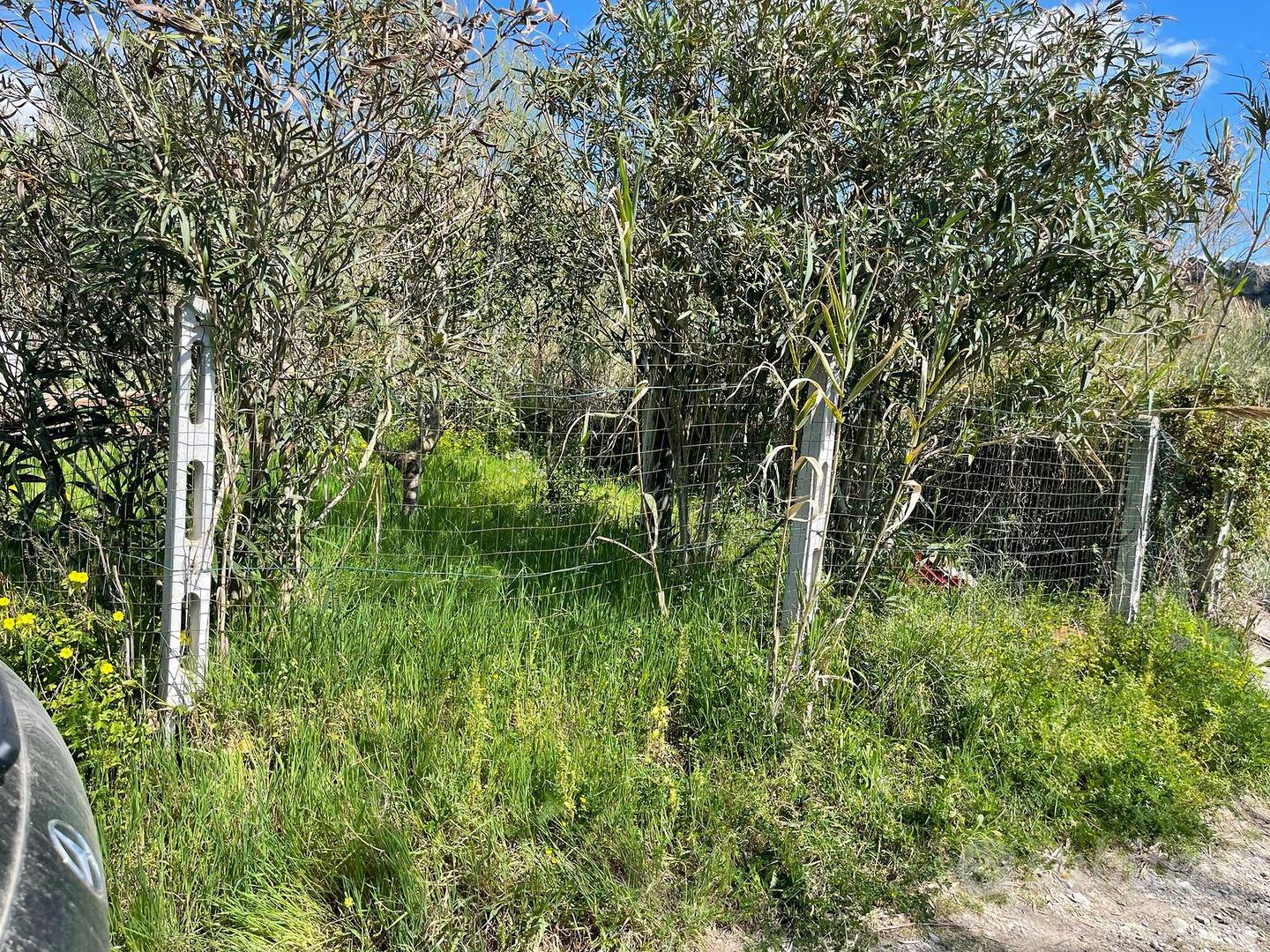 Terreno agricolo circa 200mq recintato - Vista 3