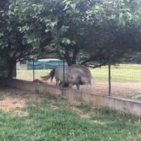 Per alcuni gg dal barbiere dalla sua dimora nel co