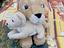 Immagine 1