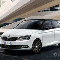 Ricambi usati Skoda Fabia Octavia kamiq karoq