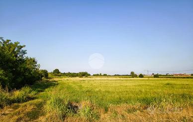 TER. AGRICOLO A BOFFALORA SOPRA TICINO