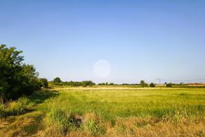 TER. AGRICOLO A BOFFALORA SOPRA TICINO
