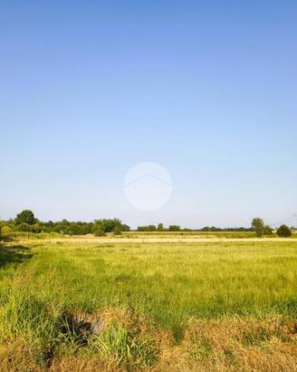 TER. AGRICOLO A BOFFALORA SOPRA TICINO