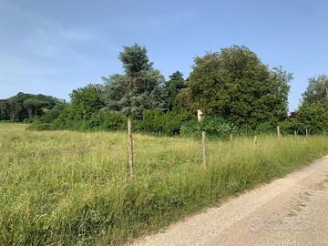 Rocca priora: terreno agricolo