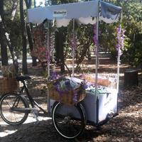 Cargo bike