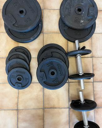 Pesi pelestra