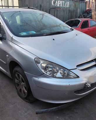 Ricambi Peugeot 307 Anno 2002