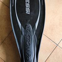 Pinne cressi sub