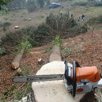 Giardiniere arboricoltore