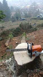 Giardiniere arboricoltore