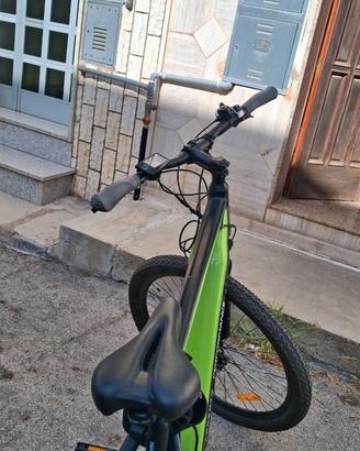 bici elettrica marca argento