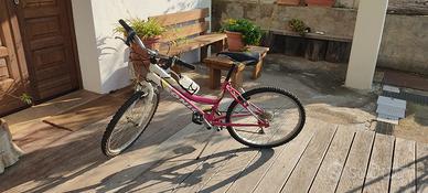 Bicicletta sonic