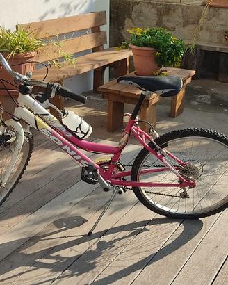 Bicicletta sonic
