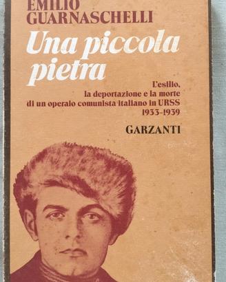 Una piccola pietra_E. Guarnaschelli_Garzanti  1982