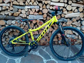 Scott Scale 24 pollici 
