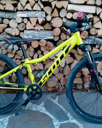 Scott Scale 24 pollici 