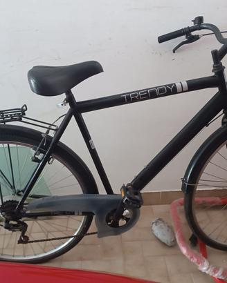 BICICLETTA DA UOMO "TRENDY"