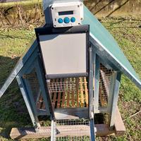 casetta per galline verde mondo con chiusura autom