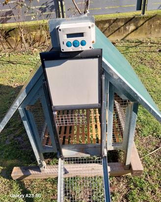 casetta per galline verde mondo con chiusura autom