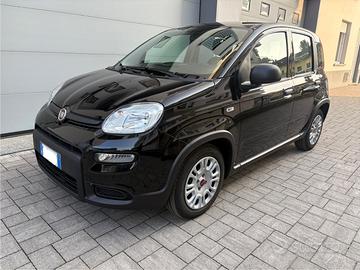 Fiat panda hybrid