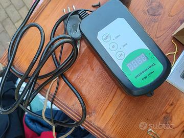 terrario per rettili 