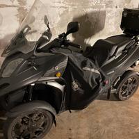 Scooter Quadro