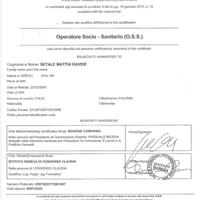 Operatore socio sanitario (badante)