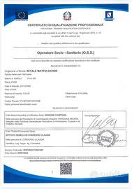 Operatore socio sanitario (badante)