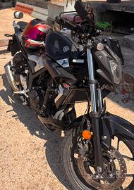 Mt-03 2017