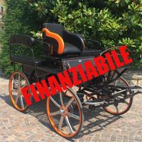 Carrozza per cavalli marathon 138 ruote inox