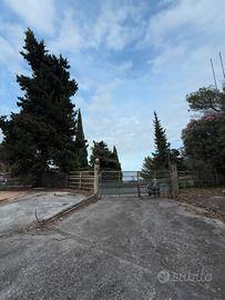 Terreno commerciale edificabile