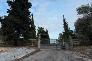 Terreno commerciale edificabile