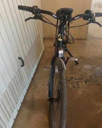 bicicletta elettrica 